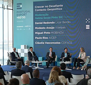 “A Europa está numa fase muito complexa, de muita indecisão”